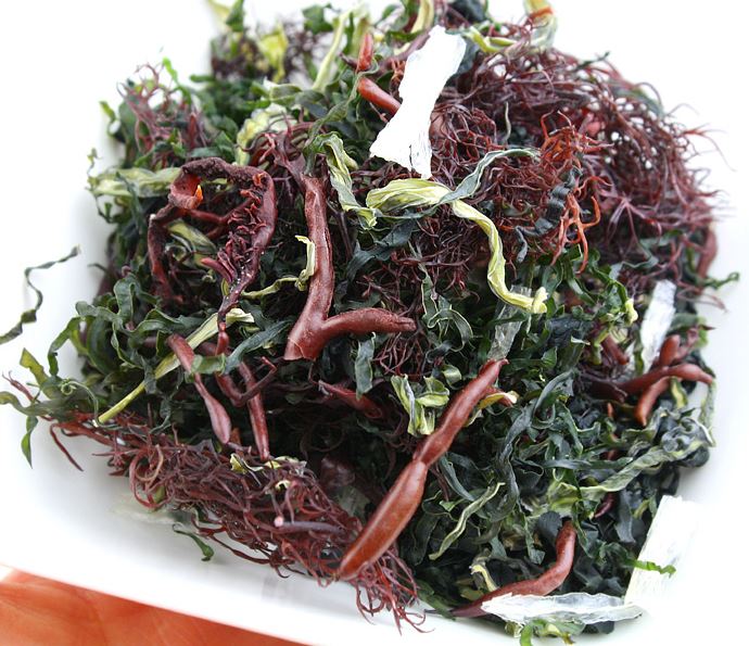 Wando Assorted Seaweed (10 packs)